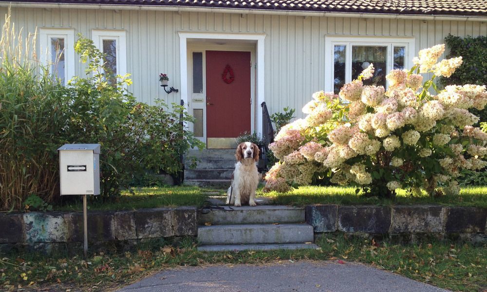 Tant Groen B&B Falun Exterior foto